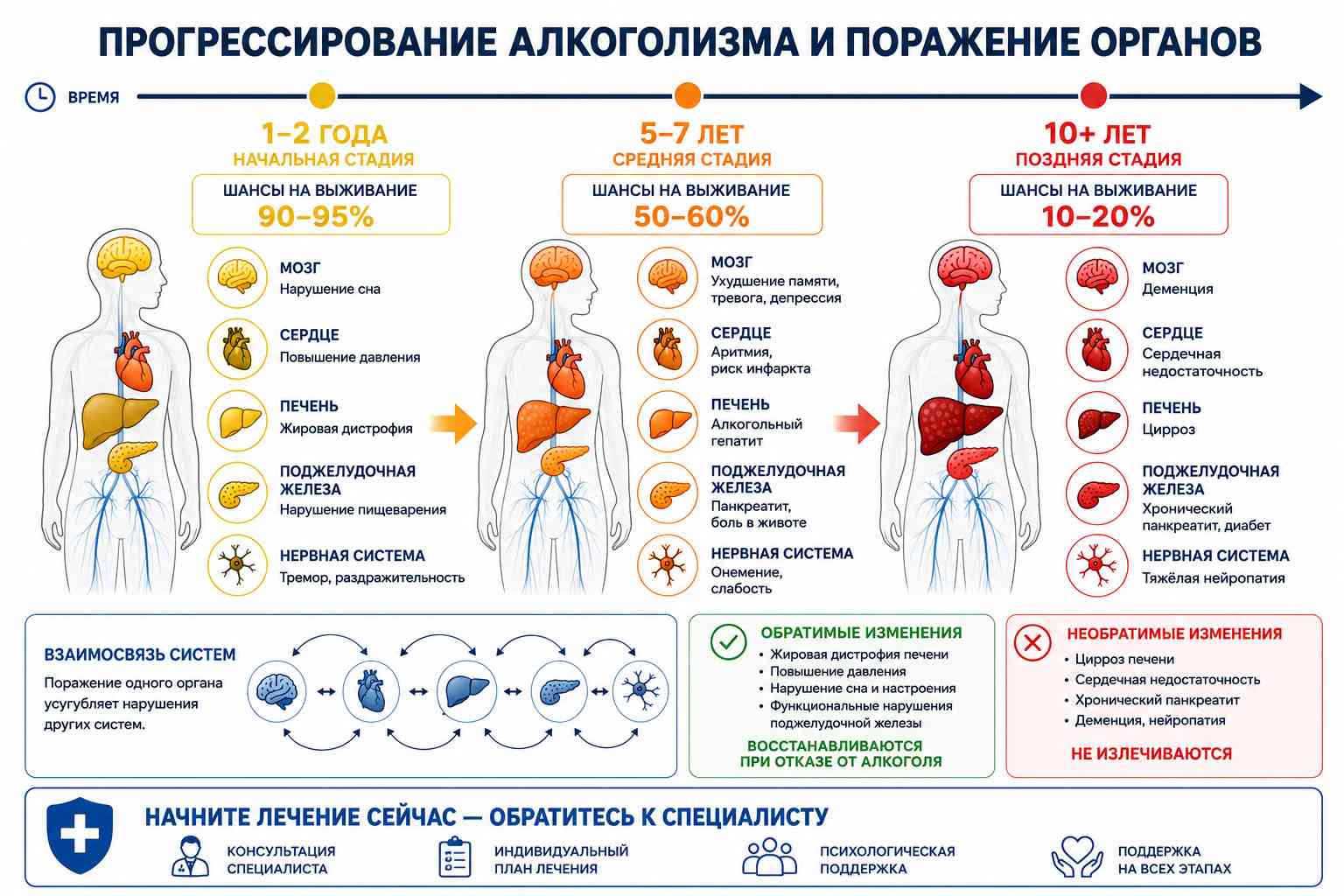 Полезная инфографика на тему прогрессирования алкоголизма с поражения органов